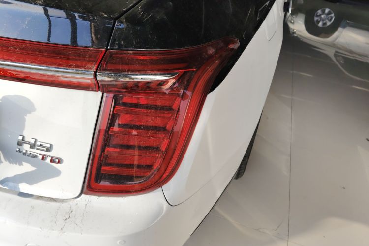 红旗H9 2020款 2.0T 智联旗畅版车身外观9