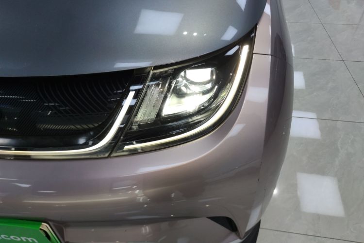 比亚迪 海豚 2021款 401km 骑士版局部细节36