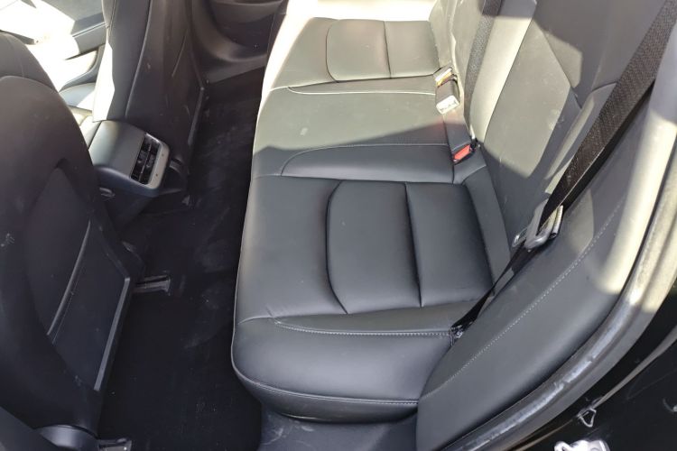 特斯拉 Model 3 2021款 改款 标准续航后驱升级版 3D1中控内饰21