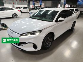 比亚迪 海豹06新能源 2024款 DM-i 80KM豪华型