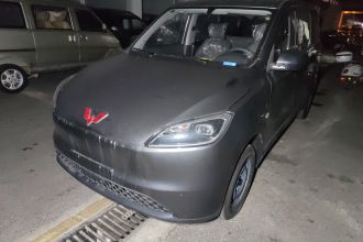 五菱汽车 五菱宏光新能源 2024款 纯电版 300KM 实用型