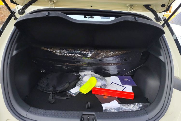 比亚迪 海豚 2025款 420km 自由版机舱底盘23