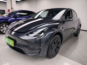 特斯拉 Model Y 2024款 后轮驱动版