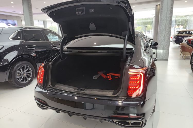 红旗H9 2024款 2.0T 旗享 私享风尚版局部细节23