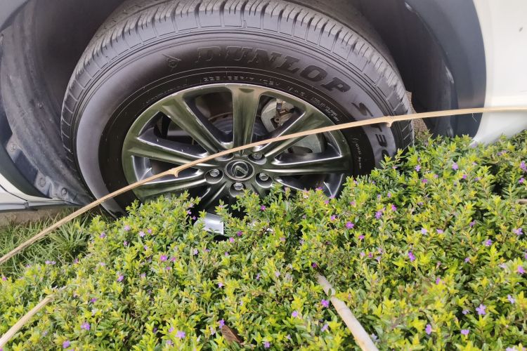 雷克萨斯NX 2020款 300 前驱 锋行版 国V车身外观10