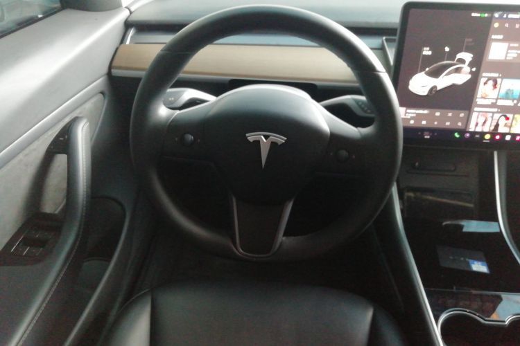 特斯拉 Model 3(进口) 2019款 长续航全轮驱动版中控内饰13