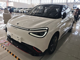 东风纳米 纳米01 2024款 共创版 共创ME版