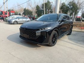 启辰大V 2022款 260T 黑马版·爱豆