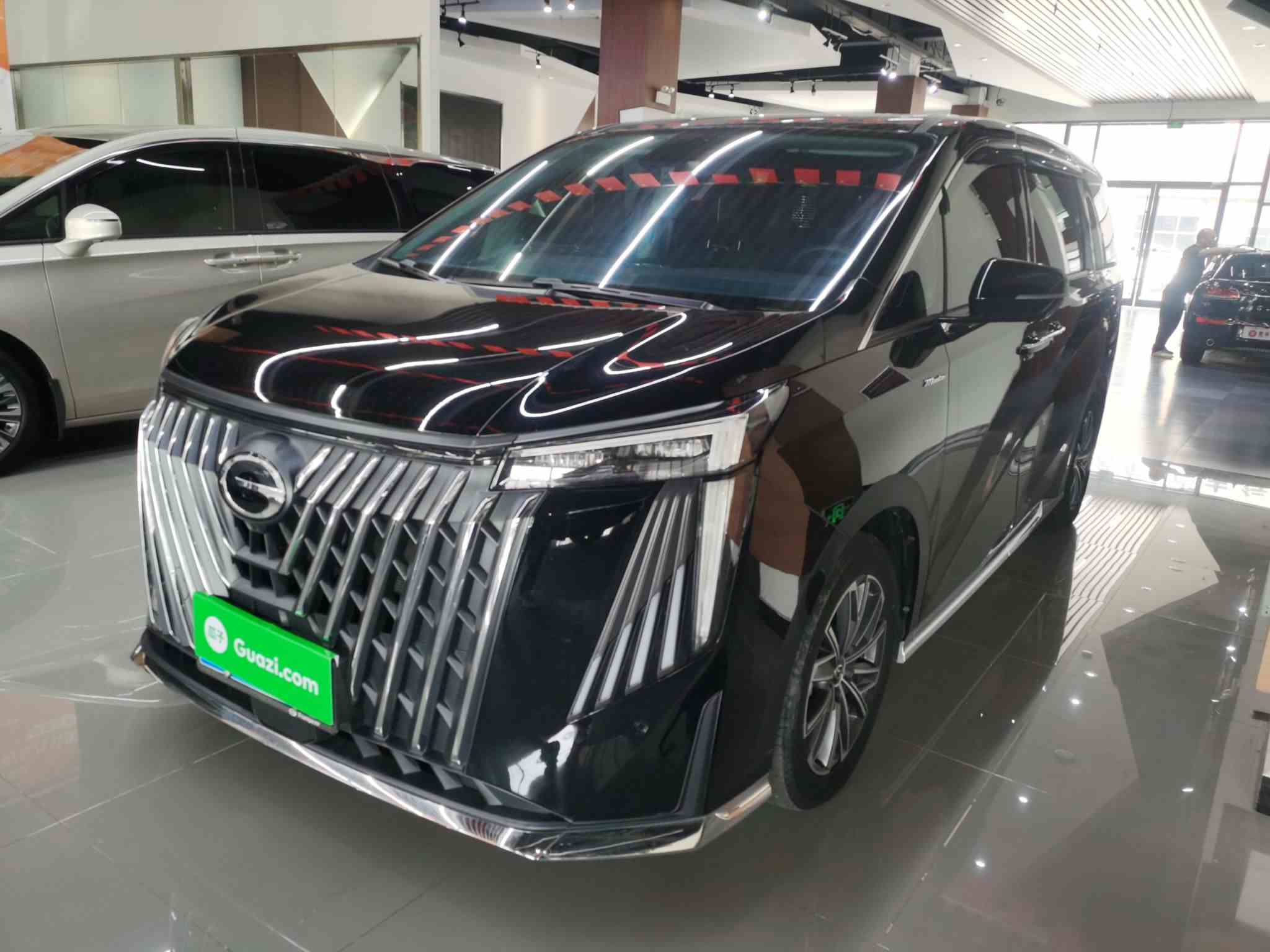 广汽传祺 传祺M8 2024款 大师系列 400T 尊贵版(2)