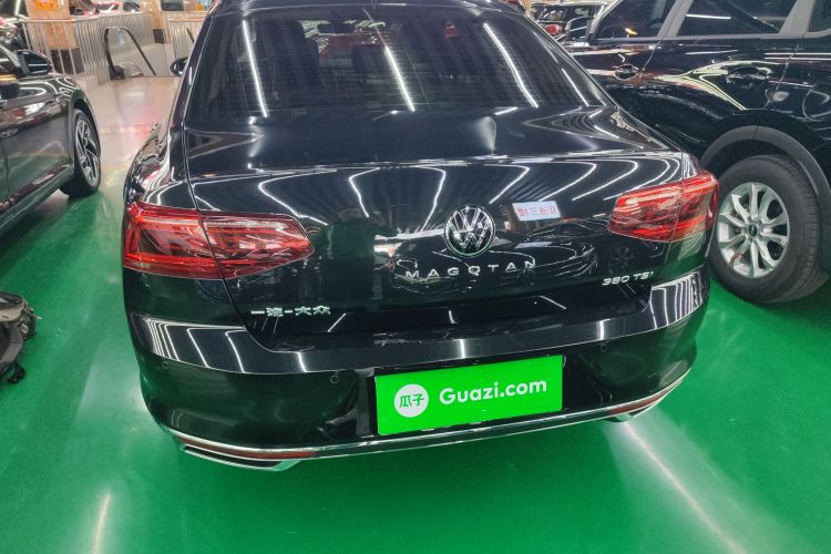 大众 迈腾 2020款 380TSI DSG 豪华型车身外观6