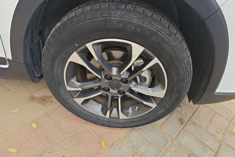 吉利几何 EX3 功夫牛 2021款 坚强牛牛车身外观6001