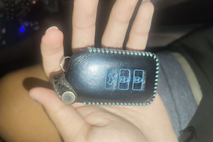 雷克萨斯RX 2016款 300 四驱典雅版 国V中控内饰7001