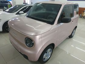吉利银河 2024款 熊猫mini 200km 龙腾PRO版