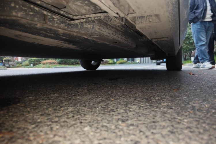 比亚迪 海豚 2021款 405km 时尚版局部细节9004