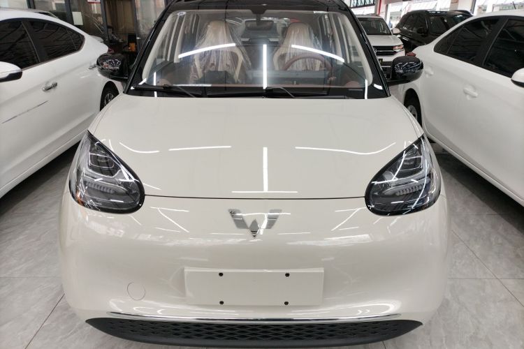 五菱汽车 五菱缤果 2025款 333km 悦享款车身外观2