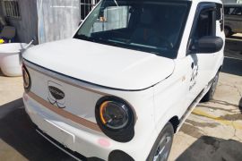 吉利银河 2023款 熊猫mini 200km 耐力熊