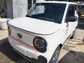 吉利银河 2023款 熊猫mini 200km 耐力熊