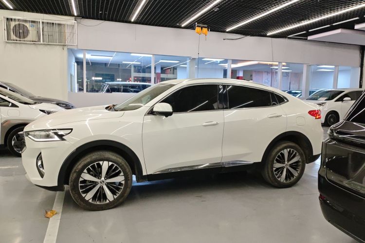 哈弗F7x 2019款 1.5T 两驱极智潮玩版车身外观6003