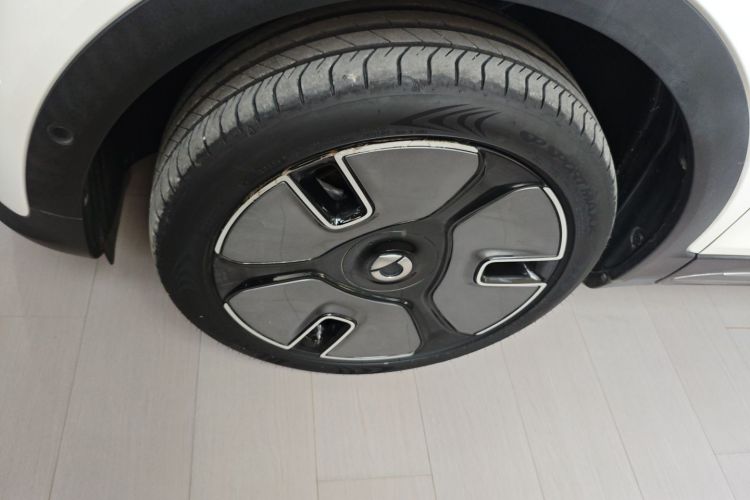 smart精灵#1 2024款 灵动豪华版车身外观6007