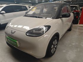 五菱汽车 五菱缤果 2024款 333km 悦享款