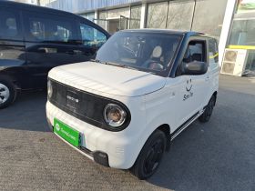 吉利银河 2024款 熊猫mini 200km 耐力熊