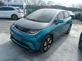 比亚迪 海豚 2021款 401km 骑士版