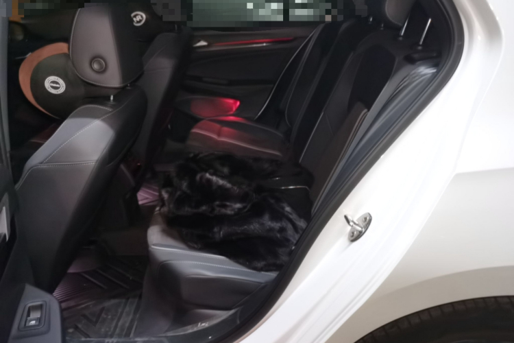 大众 高尔夫 2023款 280TSI DSG R-Line 20周年纪念版中控内饰21