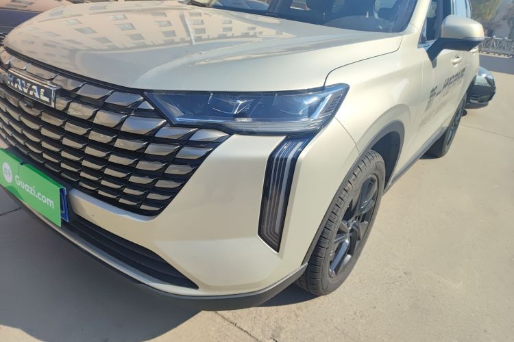 哈弗H6 2024款 2.0T 四驱Max局部细节36