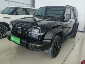 坦克300 2021款 越野版 2.0T 挑战者