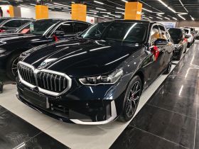 宝马5系 2024款 530Li 领先型 豪华套装