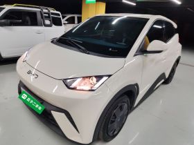 比亚迪 海鸥 2024款 荣耀版 305km 活力版