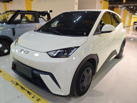 比亚迪 海鸥 2025款 305km 活力版