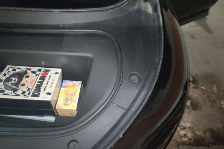 阿维塔12 2023款 650 三激光四驱性能版局部细节9007