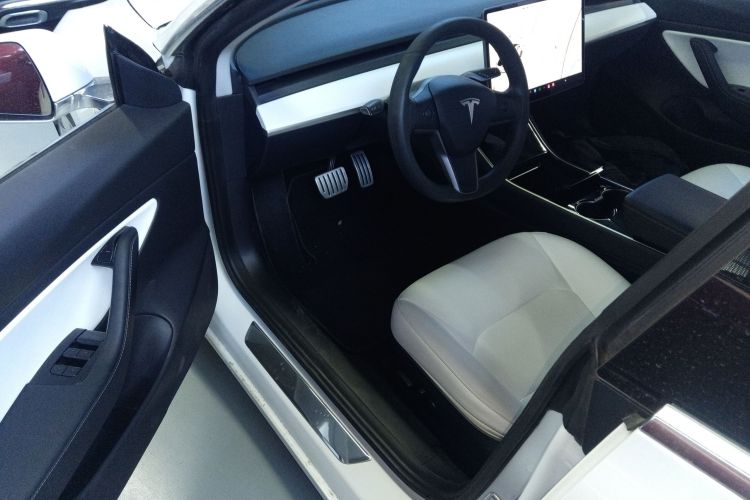 特斯拉 Model 3(进口) 2019款 Performance高性能全轮驱动版中控内饰20