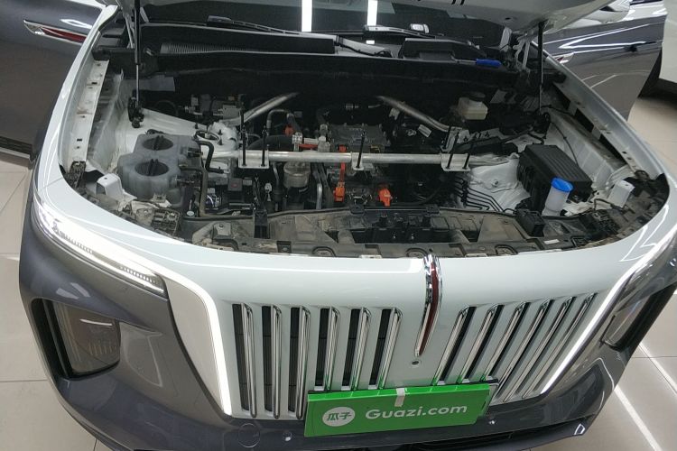 红旗E-HS9 2022款 660km 旗领版 四座局部细节24