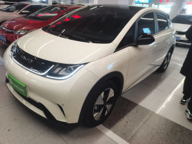 比亚迪 海豚 2023款 420km 时尚版