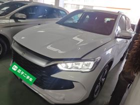 比亚迪 宋Pro新能源 2023款 冠军版 DM-i 110KM卓越型