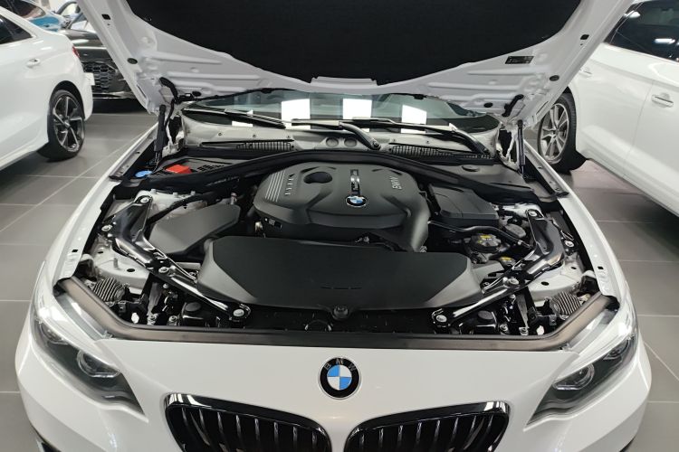 宝马2系(进口) 2019款 225i 敞篷轿跑车 运动设计套装局部细节24