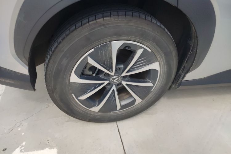 雷克萨斯RZ 2023款 450e 四驱纵行版车身外观6003