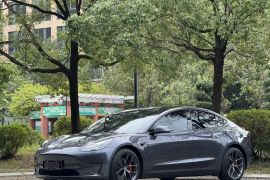 特斯拉 Model 3 2021款 改款二 Performance高性能全轮驱动版