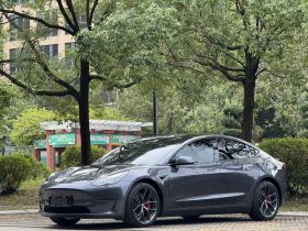 特斯拉 Model 3 2021款 改款二 Performance高性能全轮驱动版