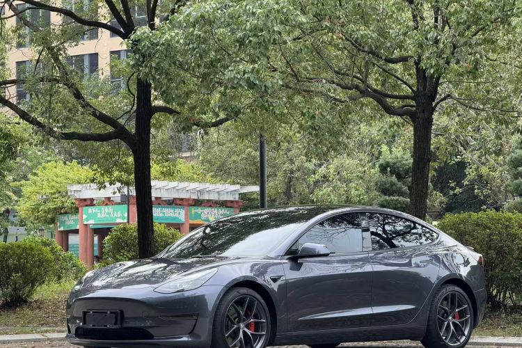 特斯拉 Model 3 2021款 改款二 Performance高性能全轮驱动版车身外观1