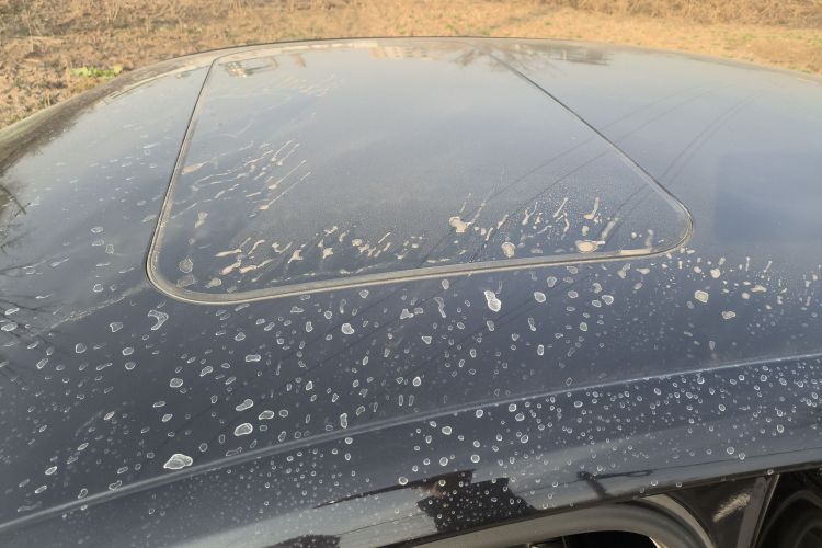 大众 速腾 2017款 1.6L 手动舒适型局部细节57