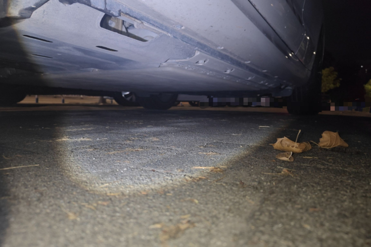 鸿蒙智行 问界M5 2023款 增程后驱智驾版局部细节9004