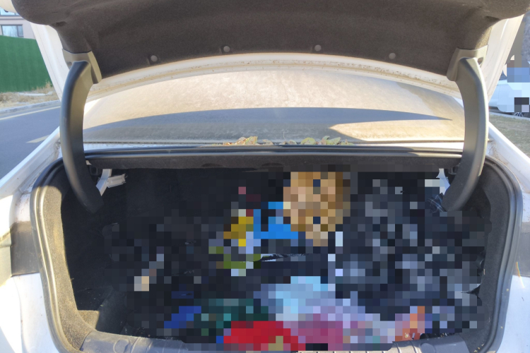 比亚迪 驱逐舰05 2024款 荣耀版 DM-i 55KM 豪华型中控内饰23