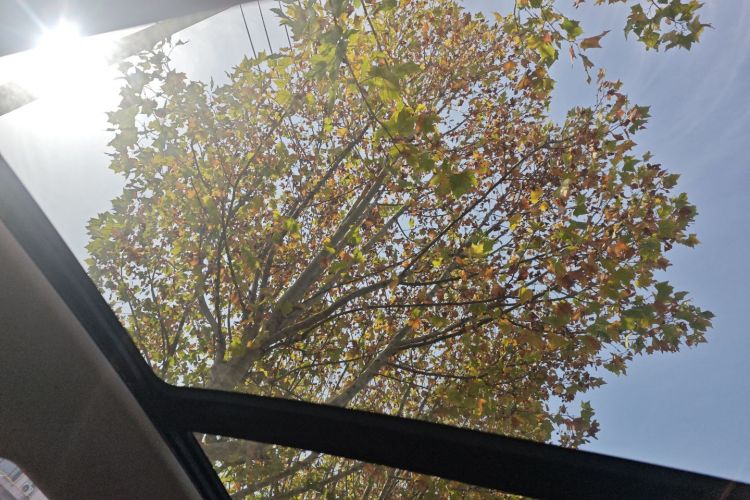 红旗H5 2023款 2.0T 自动智联旗享版中控内饰22