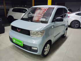 五菱汽车 宏光MINIEV 2020款 自在款 磷酸铁锂