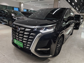 腾势D9 2024款 DM-i 980 四驱旗舰型