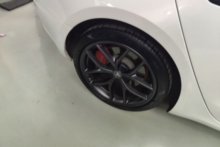 特斯拉 Model 3 2021款 Performance高性能全轮驱动版车身外观6008