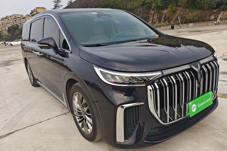 岚图汽车 岚图梦想家 2022款 低碳版 梦+智享包车身外观6002